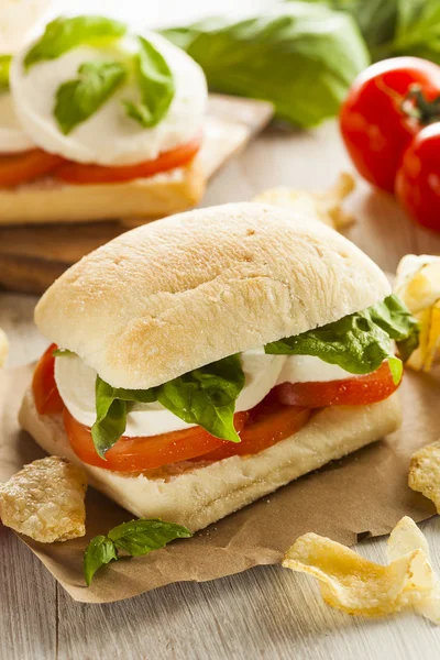 Organic Homemade Caprese Sandwich — Stock Photo, Image