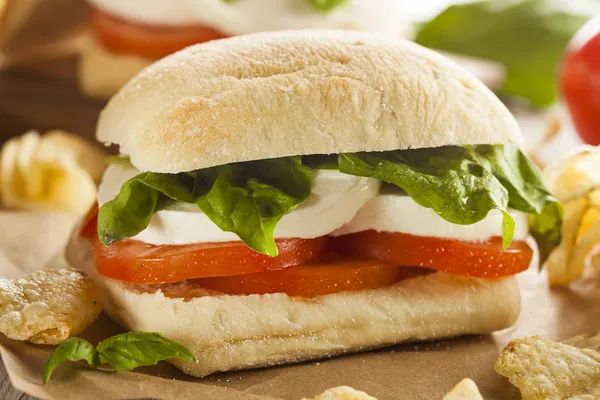 Ekologiskt hembakade caprese smörgås — Stockfoto