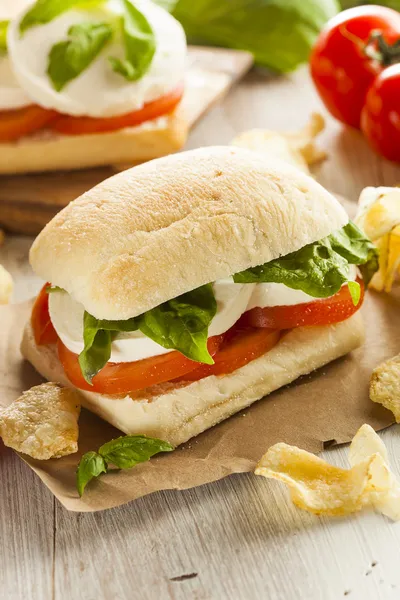 Organik Homemade Caprese Sandwich — Stok Foto