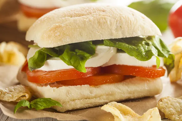 Ekologiskt hembakade caprese smörgås — Stockfoto