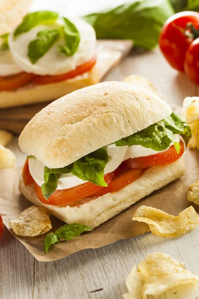 Ekologiskt hembakade caprese smörgås — Stockfoto