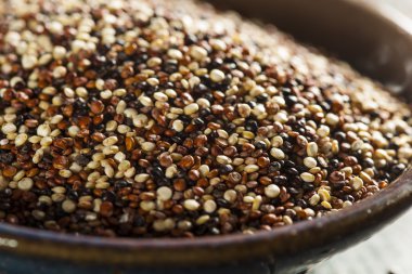 Organik renkli ham quinoa
