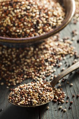 Organik renkli ham quinoa