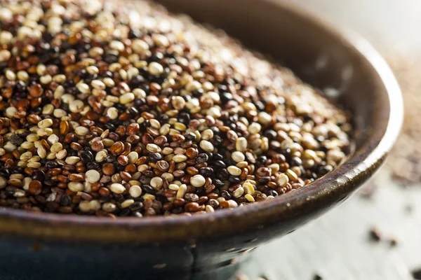 Bio színes nyers quinoa — Stock Fotó