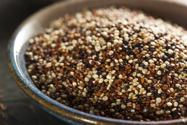 Kolorowe quinoa surowców organicznych — Zdjęcie stockowe