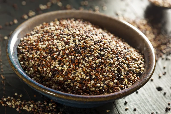 Quinoa crua colorida orgânica — Fotografia de Stock