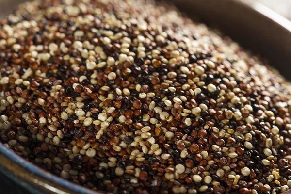 Οργανική πολύχρωμο ακατέργαστο quinoa — Φωτογραφία Αρχείου