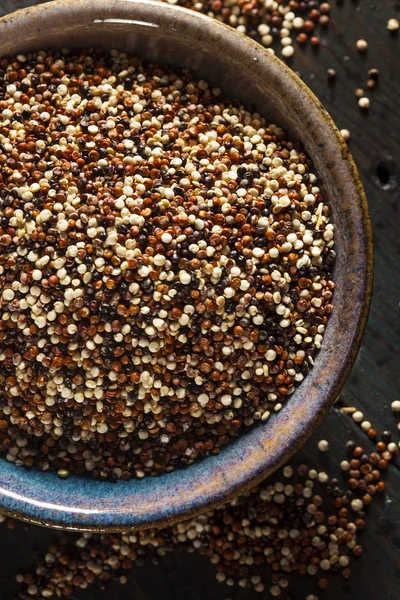 Quinoa crua colorida orgânica — Fotografia de Stock