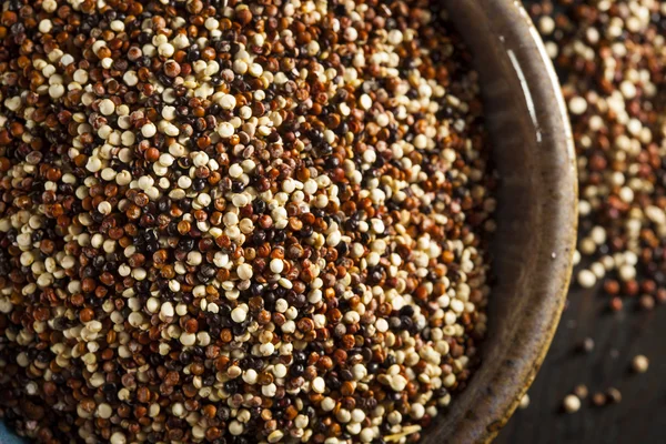 Οργανική πολύχρωμο ακατέργαστο quinoa — Φωτογραφία Αρχείου