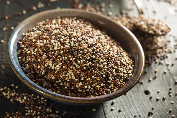 Organische kleurrijke ruwe quinoa — Stockfoto