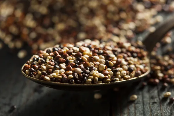 Bio bunte rohe Quinoa — Stockfoto