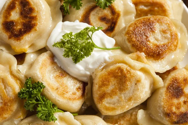 Homemade Polish Pierogis with Sour Cream — Stock Photo, Image