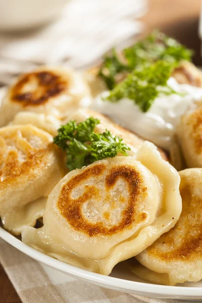 Pierogis polacos caseros con crema agria — Foto de Stock