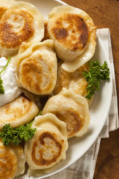 Zelfgemaakte Pools pierogis met zure room — Stockfoto