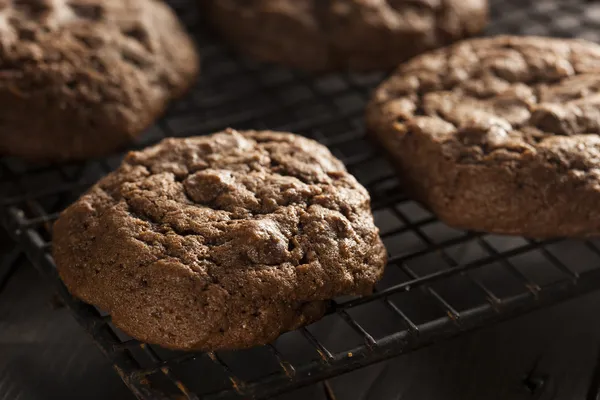 Hemlagad double chocolate chip cookies — Stockfoto