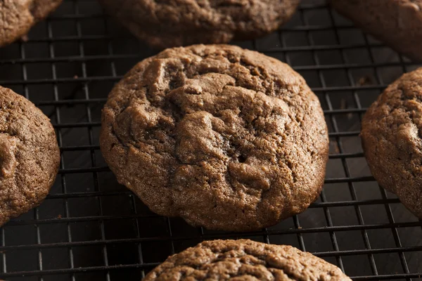 Hemlagad double chocolate chip cookies — Stockfoto