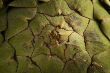 ham organik yeşil enginar