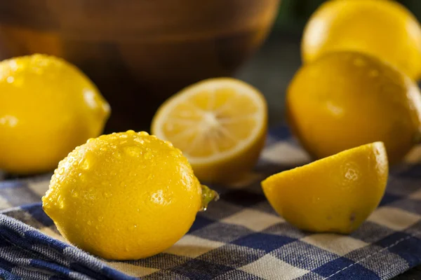 Citrus bio citrom — Stock Fotó