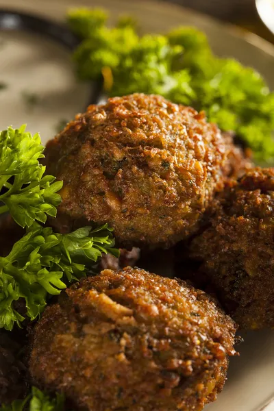 Gesunde vegetarische Falafel-Bällchen — Stockfoto