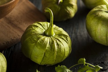 organik yeşil tomatillos grubu