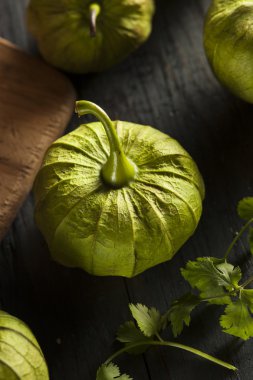 organik yeşil tomatillos grubu