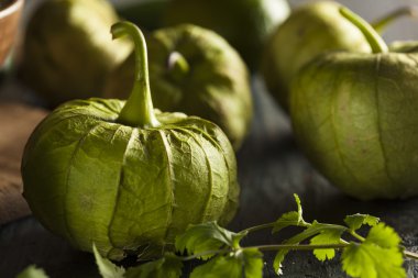 organik yeşil tomatillos grubu