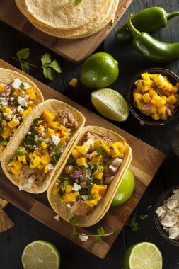ev yapımı baja balık tacos