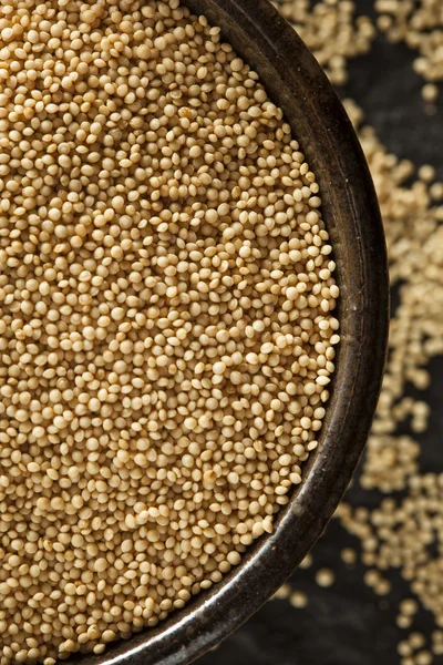 Rohes Bio-Amaranth-Korn — Stockfoto