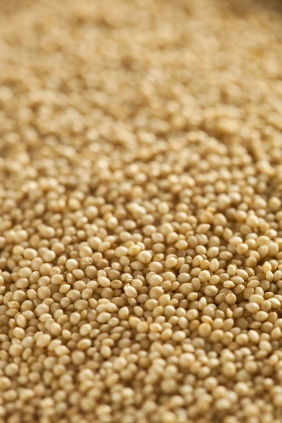 Rohes Bio-Amaranth-Korn — Stockfoto