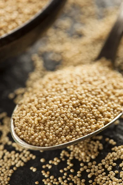 Rohes Bio-Amaranth-Korn — Stockfoto