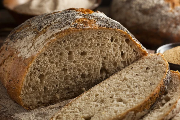 Organik ev yapımı antik tahıl ekmeği — Stok fotoğraf