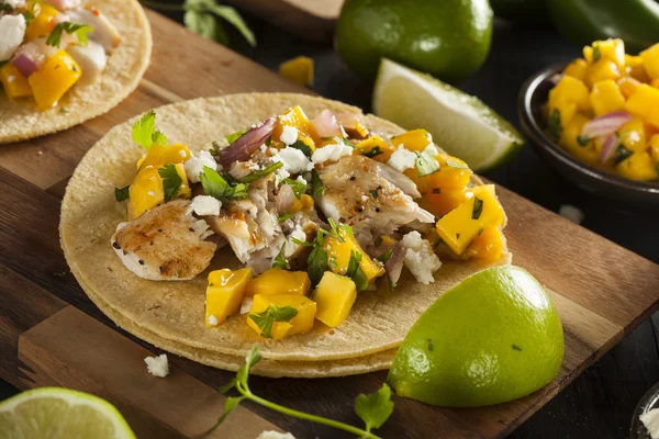 Tacos caseros de pescado Baja — Foto de Stock