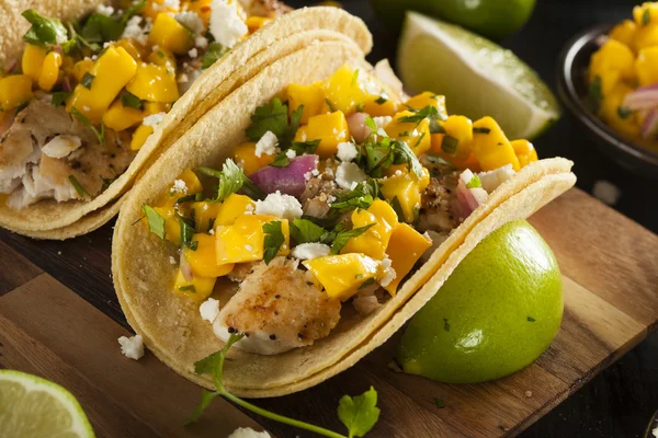 Hemlagad baja fisk tacos — Stockfoto