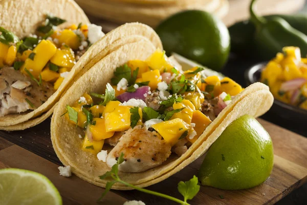 Tacos caseros de pescado Baja — Foto de Stock