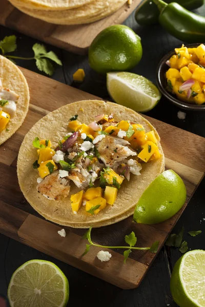 Tacos caseros de pescado Baja — Foto de Stock