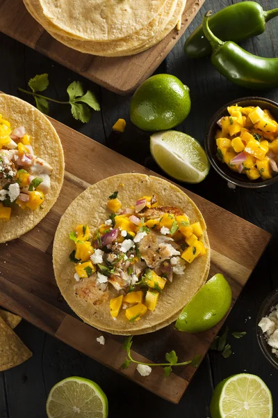 Tacos caseros de pescado Baja — Foto de Stock
