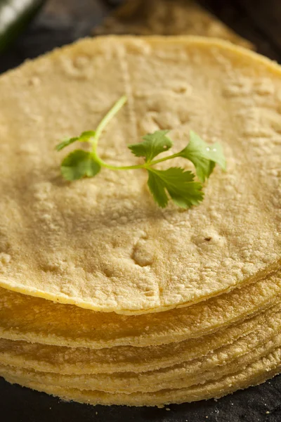 Zásobník domácí kukuřičné tortilly — Stock fotografie