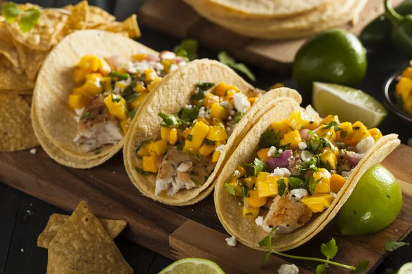 Zelfgemaakte baja vis tacos — Stockfoto