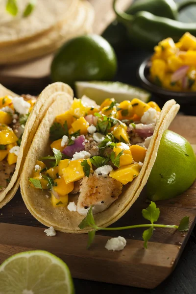 Homemade Baja Fish Tacos — Stock Photo, Image