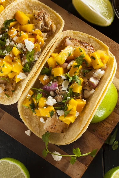 Tacos de peixe caseiro Baja — Fotografia de Stock