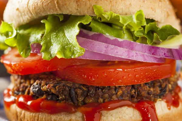 Hamburger domowy quinoa wegetariańska zdrowy — Zdjęcie stockowe
