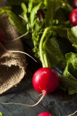 Organik çiğ kırmızı turp