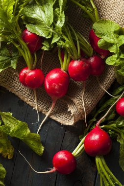 Organik çiğ kırmızı turp