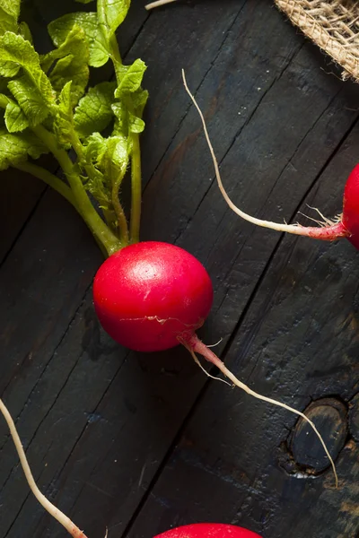 Organik çiğ kırmızı turp — Stok fotoğraf