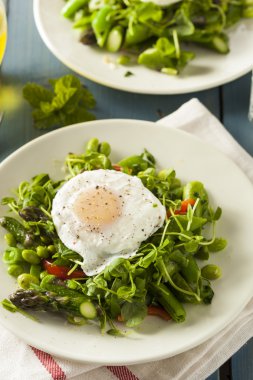 bir haşlanmış yumurta ile sağlıklı scafata