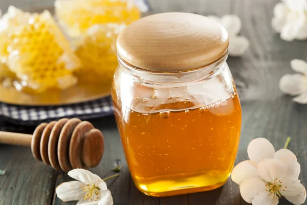 Pente de mel dourado cru orgânico — Fotografia de Stock