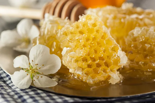 Ekologisk raw golden honung kam — Stockfoto