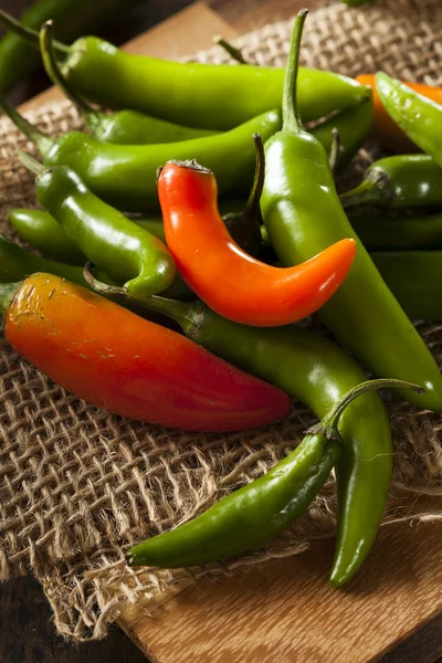 Bio-grüne, würzige Serrano-Paprika — Stockfoto