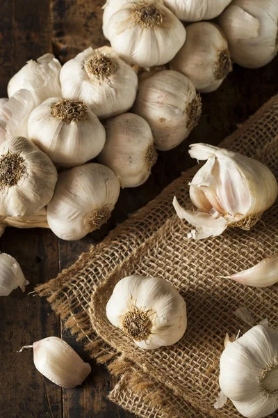 Organic Raw White Garlic — Stock Photo, Image