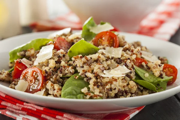 Healthy Vegetarian Quinoa Salad — Stock Photo, Image